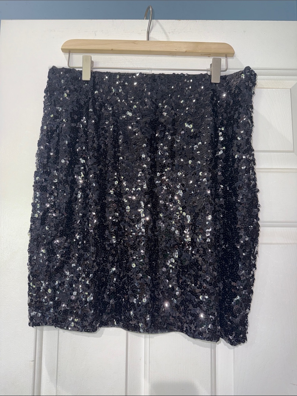Sequin Skirt